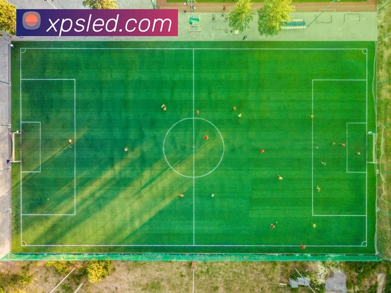 星空体育手机端入口APP 封面图